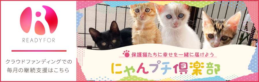 にゃんプチ倶楽部